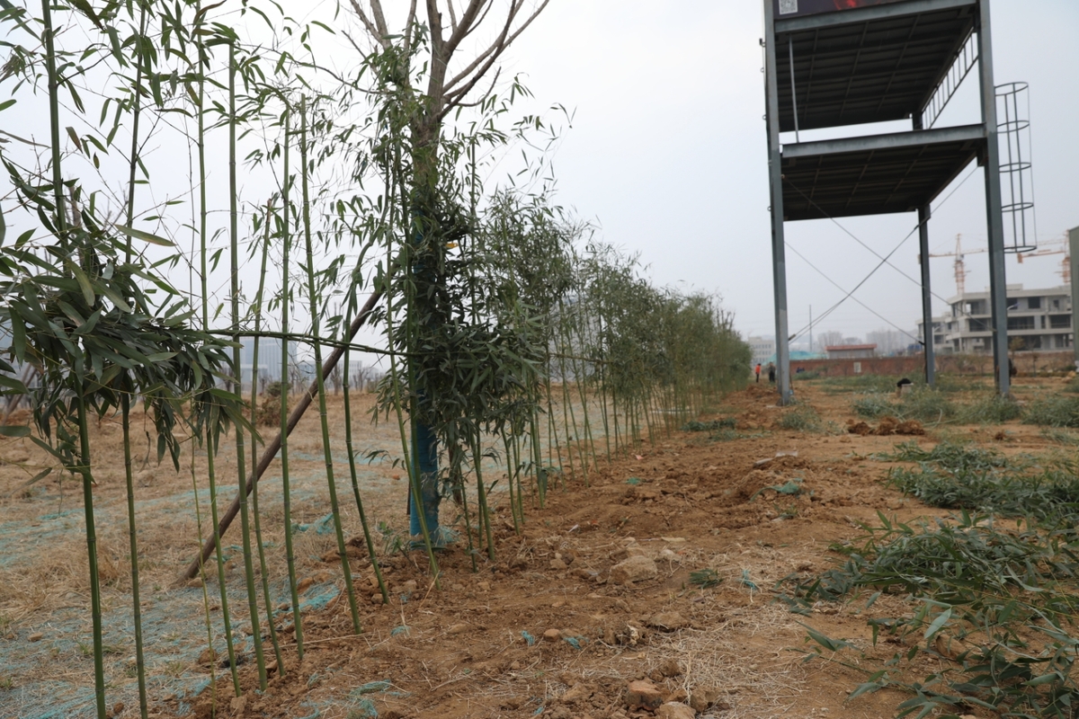 國(guó)泰科(kē)技(jì )舉行“你我攜手，美化公(gōng)司”植樹節活動